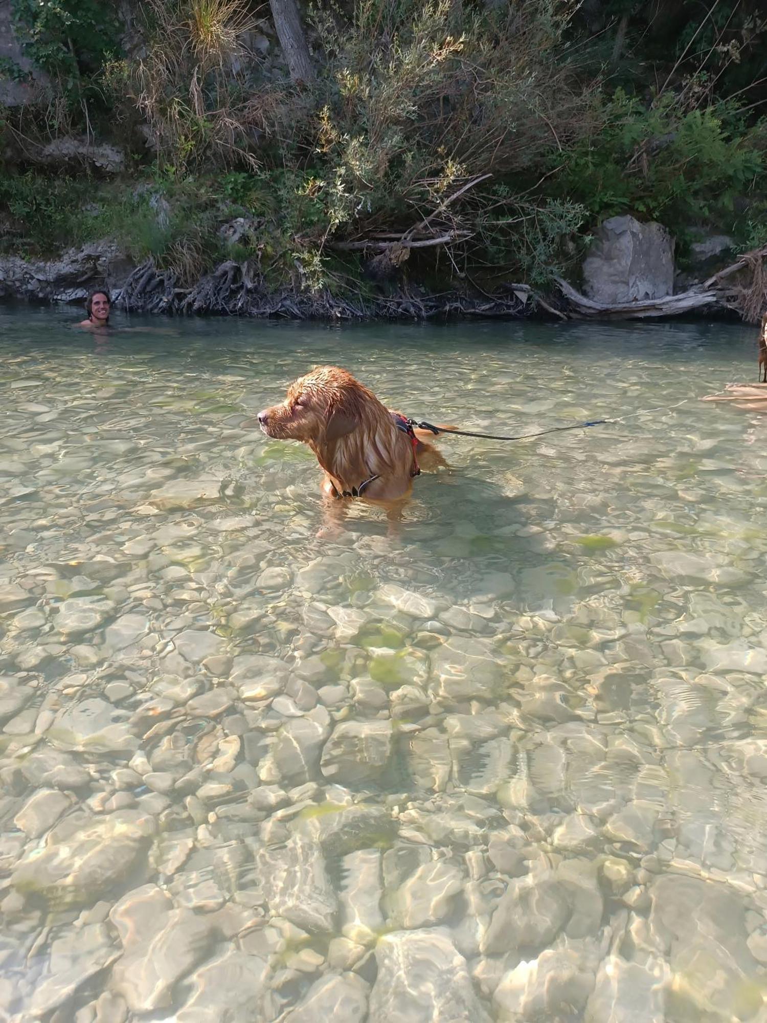 דירות Rossena Il Nido Di Matilde _Monolocale Design Sul Fiume_ מראה חיצוני תמונה